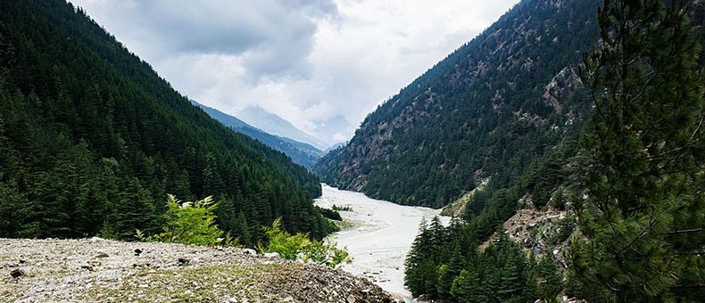 Gangotri National Park – The Valley That Listens