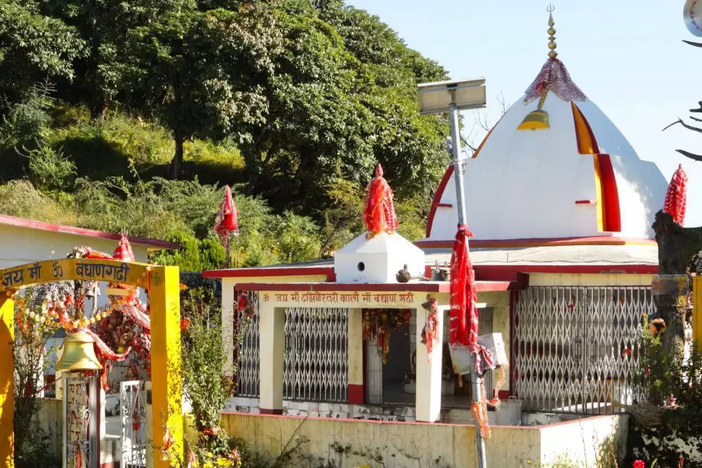 Angyari Mahadev Temple, Gwaldam (अंग्यारी महादेव मंदिर, ग्वालदम): Where Forest Whispers and Shiva Listens