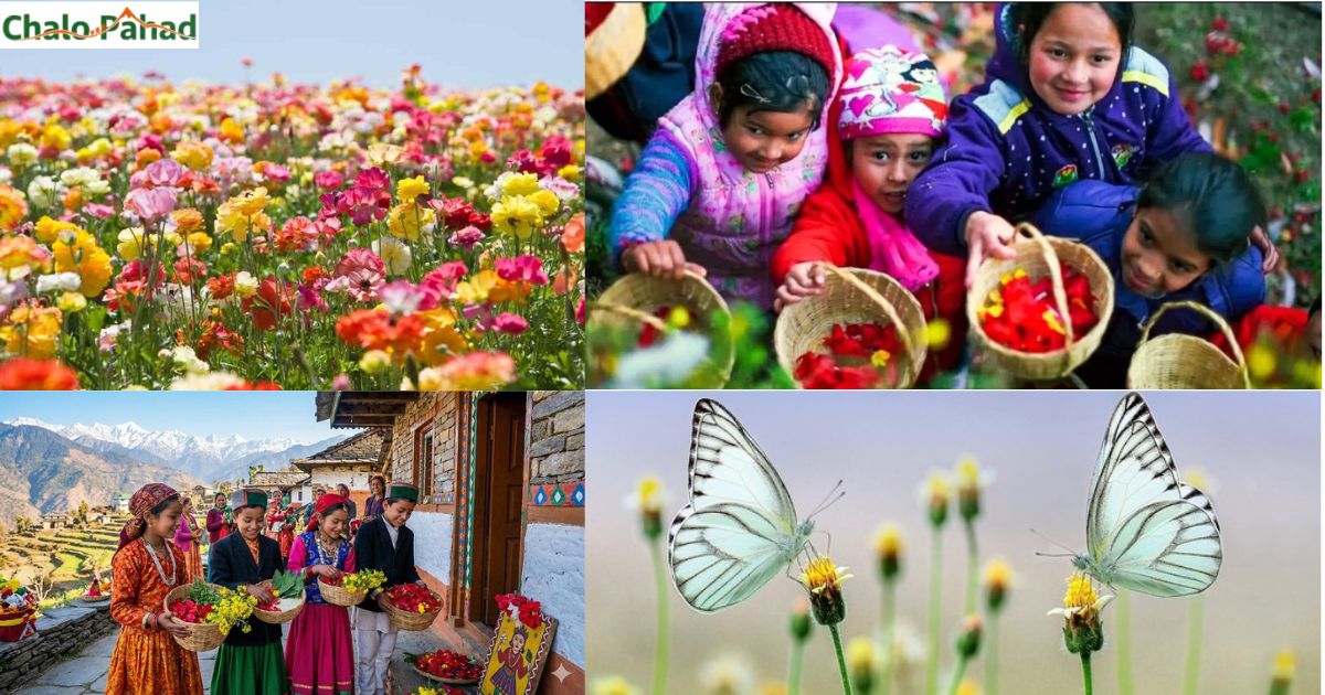 Phool Dei Festival: A Small Tradition from the Hills That Carries a Big Meaning